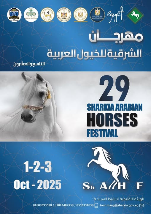 مهرجان الشرقية للخيول العربية